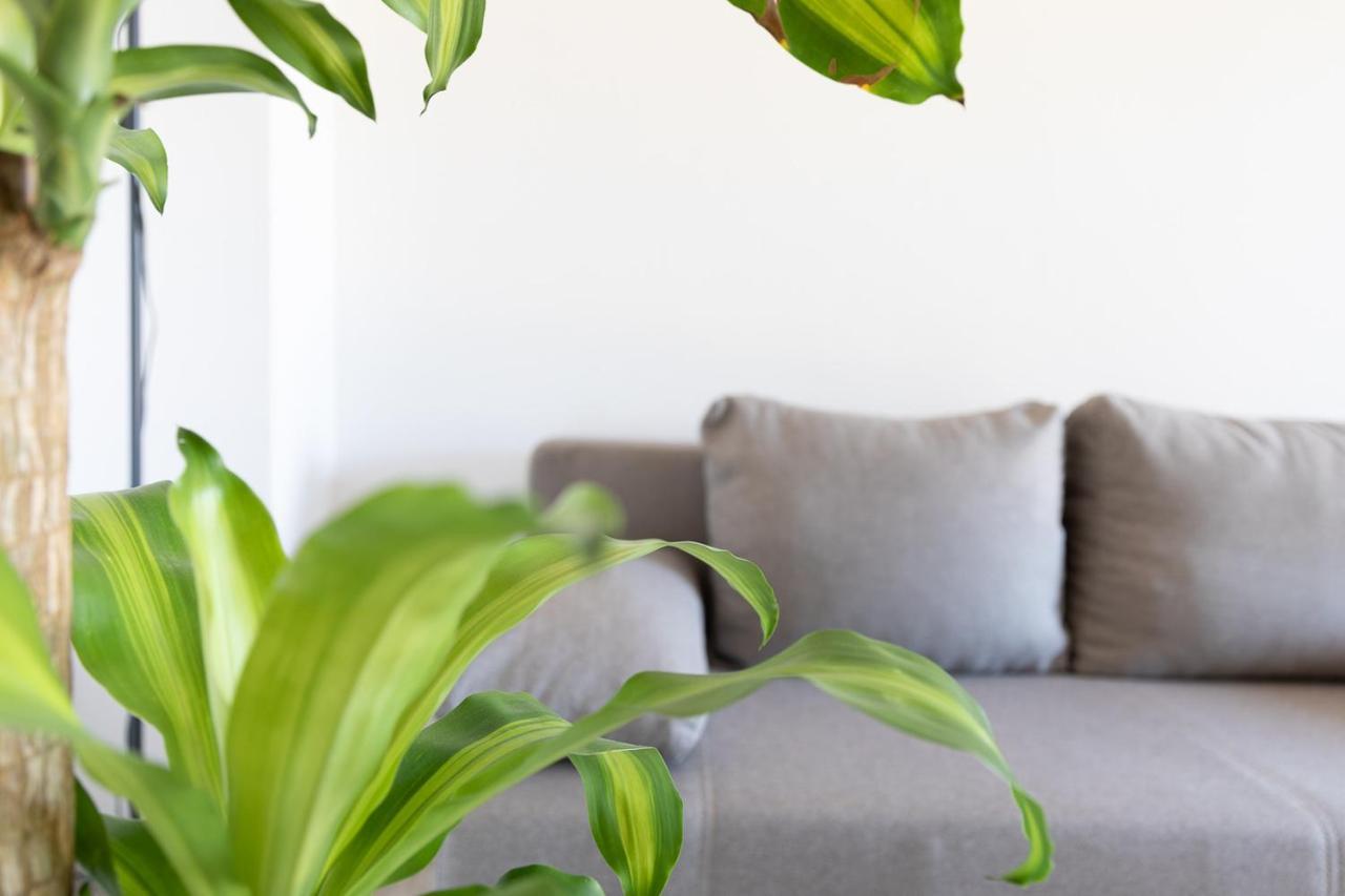Sanja-marino Apartment